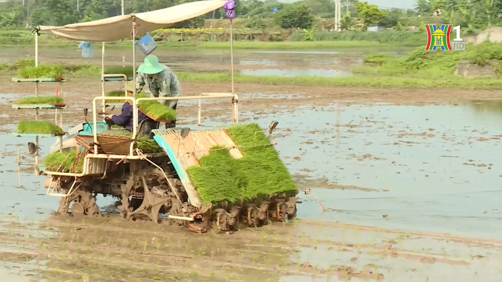Trưởng thôn tận tâm xây dựng nông thôn mới | Người tốt quanh ta | 24/07/2025